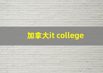 加拿大it college